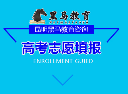 高考志愿填报